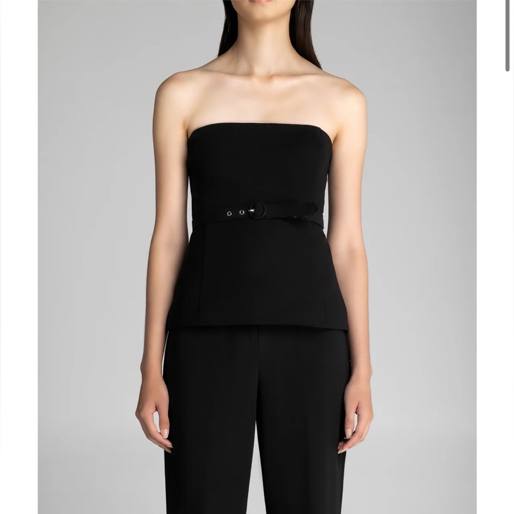 NWT Pure & Simple Bustier